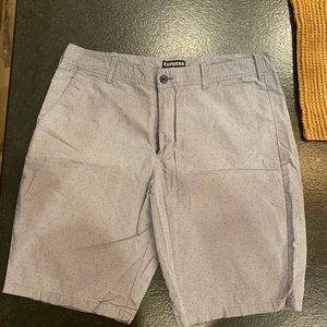 Express Light Blue Casual Shorts